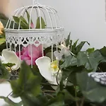 Hotel Bolboreta Suites Boutique Saint-Jacques-de-Compostelle