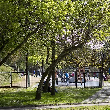 Bolboreta Dreams Turisticos